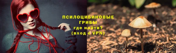 круглые Алексеевка