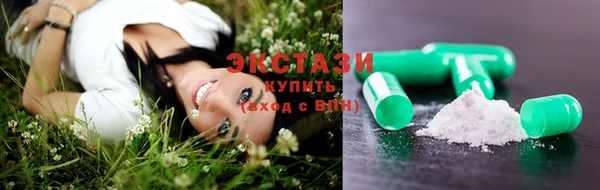 СК Алексин