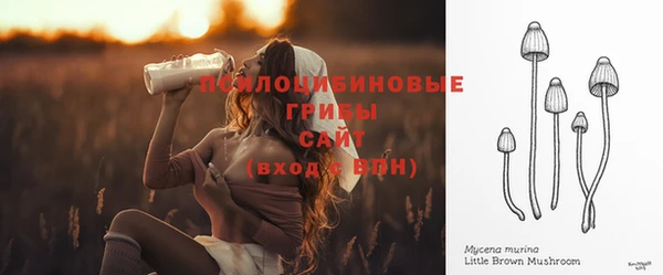 круглые Алексеевка