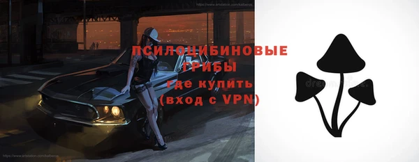 круглые Алексеевка