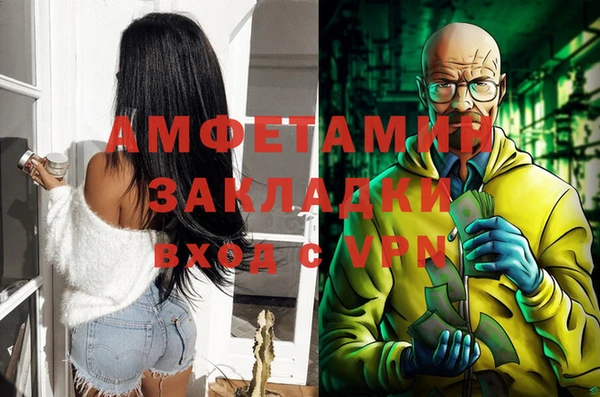 СК Алексин
