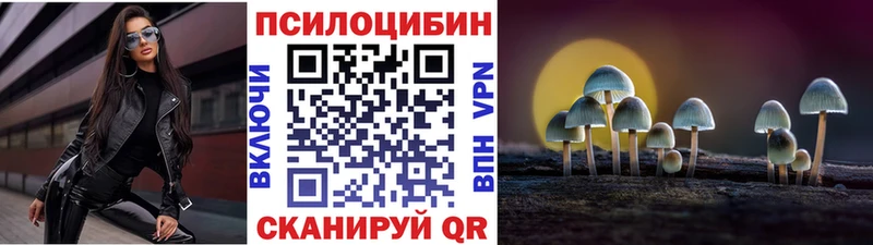 Псилоцибиновые грибы прущие грибы магазин наркотиков Ахтубинск